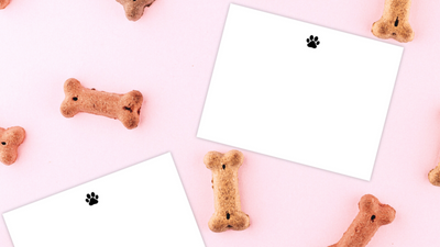 Stationery for pets