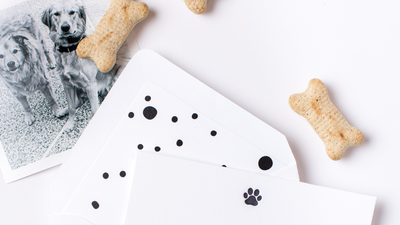 Gifts for dog lovers